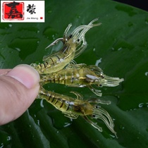 Jia simulation sea bait Luya soft bait 4cm long soft shrimp lures Osmanthus blackfish bowhead bass bait 10pcs pack