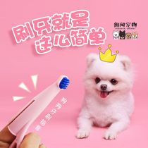 Japanese imported joyset dog toothbrush soft hair silicone cat finger cover deodorant dental calculus oral cleaning