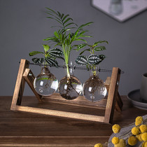 Green Luo creative coffee table home cure hydroponic Vase decoration bottle table flower vase tea room Bell