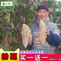 Now dig crystal powder kudzu fresh Guangdong Zengcheng Farmhouse No slag powder kudzu volcano Pueraria lobata soup 5kg
