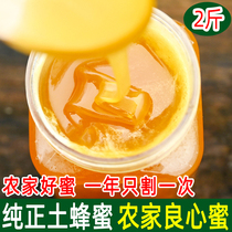 2 pounds of earth honey Pure natural farm produce wild mountain flower nectar barrel pregnant woman crystal true honeycomb honey