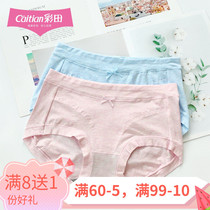 Color Field Briefs Women Warm Palace Cotton Modale Blend Fabric Graphene Conserve Crotch Bottom Middle Waist High Waist Flat Angle Pants