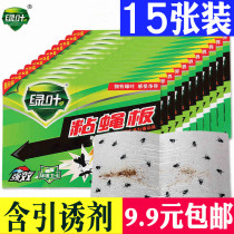 The fly sticky mosquitoes are sticky flies the little flying insects the sticky patterns the flies the strong household indoor the insects.