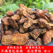 Grubs Chinese herbal medicine Qi Cao Gan dog chicken bug soil silkworm old mother worm white time bug 250g grinding powder Wild