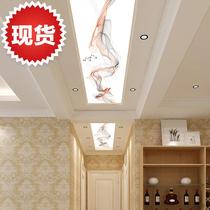 Shed Art a surgery light transmission corridor gangway ceiling New acrylic plate Decorative Living Room Styling Chinese Glass Line sky