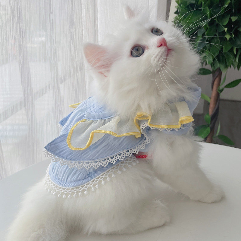 Cat clothes thin section anti-hair shedding puppet cat British short blue cat kitten skirt pet cat cat skirt kitten vest skirt