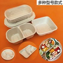 Eco-friendly Pulp Lunch Box Disposable Snack Box Light Snack Box Takeaway Salad Packs boxed boxed boxed box