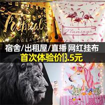 Dormitory wall decoration background cloth ins hanging cloth oversized fashion brand bedroom mens tide large oversized 100 days Photo