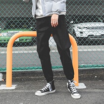 LMTNZD2021 new spring and summer versatile thin drawstring pants mens Korean version of casual loose closed small feet pants