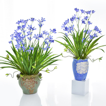 Fresh orchid small potted plant fake flower emulation floral suit furnishing living-room bedroom dining room table home Decorative Flower Pendulum