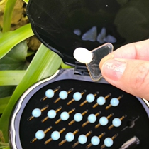 Japan mikimoto yuwumoto pearl essence concentrated magnesium white moisturizing beauty liquid 24 grain Tokyo delivery