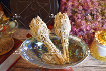 Spot] Selected American White Sage-purifying space to drive off negative energy 1