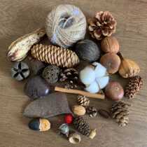 (Open material loose part) dried flower branches pine fruit tree leaf pine bulk piece Pat small shop Reggio