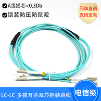 Optical fiber jumper LC-LC multimode 10000 trillion Double-core anti-rat sheathed optical fiber jumper tail fiber small square multimode OM3 sheathed jumper