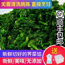 Frozen shepherds purse Frozen fresh shepherds purse stuffing ravioli dumpling stuffing Spring roll mix Vegetable commercial shredding SF