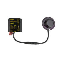 Masters Day MPPT lithium battery SRNE Intelligent induction 12V 24V10A integrated street lamp controller SR-MES60