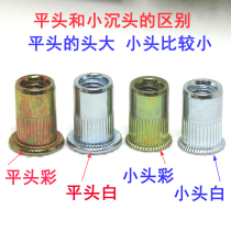 Blue and White nut small M3M4M5M6M8M10M12 pull cap riveting flat head riveting color zinc pull female countersunk head nut zinc plating