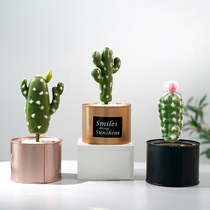 Simulation plant potted ins Nordic potted cactus green plant decoration fake flower desktop small ornaments indoor living room
