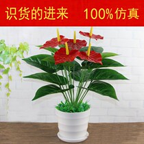 Indoor green planting red palm simulation glue flower decoration flower decoration plastic bouquet flower Narcissus potted living room