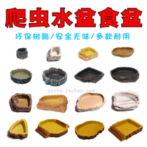 Corner Frog Bathing Basin water basin Basin Food Basin Hosts Crab Tortoise Snake Spider Scorpion Vigil mane lizard Lizard Reptile Reptile Reptile Reptile