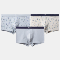 Fenten 2021 new mens underwear boxer mens cotton breathable loose pants pants four corner shorts