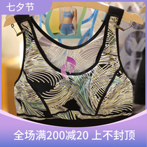 Wacoal WT1039 19 sports printed bras shock absorption stability tolerance tag price 369