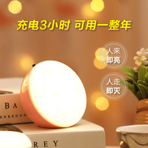 Light-controlled induction night light night light home bedside sleep eye protection lamp rechargeable LED energy-saving corridor corridor