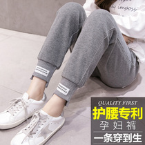 Pregnant women leggings high waist Belly Belly autumn and winter wear sports fashion spring and autumn cotton trousers thick plus velvet winter wear