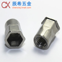 304 stainless steel small head hexagon rivet nut inner and outer hexagonal pull rivet nut M4 M5 M6 M8