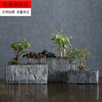Wei Green creative Nordic imitation stone pattern rectangular strip breathable green dill fleshy Phalaenopsis bamboo cement flower pot