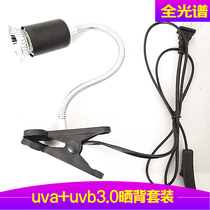 Turtle sunlit uva uvb Full Spectrum Solar heating bulb heating insulation calcium supplement sterilization set