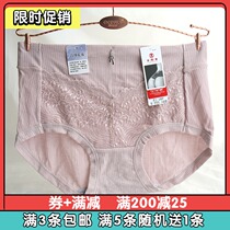 3 Le Bazaar Cotton Soft Breathable Lacy Trim High Waist 3037