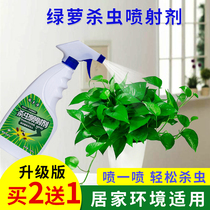 Green dieticide indoor and household potted plants special to kill small flying insects aphids insects plants soil universal insecticides