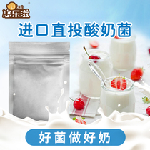 Imported yogurt fermentation bacteria bulk fresh milk bar yogurt strain solidified lactic acid bacteria direct commercial powder 20g