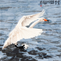 Zhou Baojuns White Swan in the Art Association member hand-painted Chinese painting original decoration