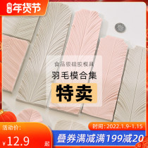 Zhou Yi big feather mold fine lines feather corrugated silicone mold bird wings texture Road simulation animal accessories production