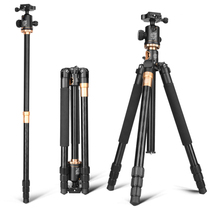 Light-mounted era Q999H portable SLR tripod camera micro-single dip tripod mid-axis horizontal bracket