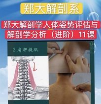 Zheng Daanatomy Video Human Posture Assessment and Anatomy Analysis (incoming order) 11 lessons