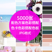 Interior design scheme Soft color color card with web designer with swatch jpg picture material