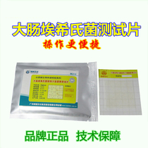 E. Coli rapid test paper BE213 coliform test paper 24 pieces of Oasis
