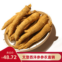 Chuanzetang Wendeng American Ginseng whole Ginseng section root 500g premium Citi root Non-imported short branch grain head