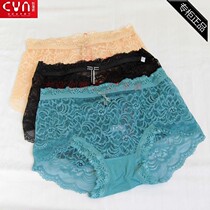2 pieces of price CYN Yano 65034 women nylon mesh boxer sexy transparent seamless womens underwear