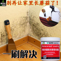 Interior Wall waterproof anti-mildew coating Wall anti-alkali treatment agent anti-alkali alkali elimination No. 1 indoor back water surface waterproof material