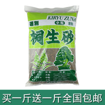 Tongsheng sand sand gas water succulent plants micro-landscape bonsai particles planting soil landscape Tung sand