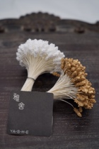 Japan imports Paoli ball bubbles with pistachios floras DIY handmade dyed cloth for a long time