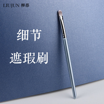 Liujun brush acne flat details fiber brush flat acne spots eye cover