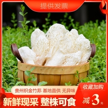Special bamboo fungus fresh bamboo fungus flower super wild mushroom non-dry goods 500g Guizhou Zhijin red to bamboo Sheng thick meat