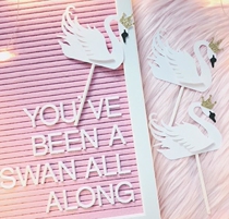 New meritocratic elegant white swan birthday wedding cake plugging party decorations shiny swan illustrator