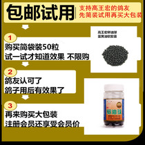 Gao Wanghong egg oil ball Racing Pigeon Pigeon supplies ornamental pigeon Parrot Bird pigeon Gaos egg butter soft capsule pigeon