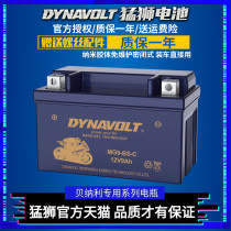  Fierce lion motorcycle battery Benali 752 302 Jinpeng TRK502X Young Lion 500 250 Huanglong 600 300